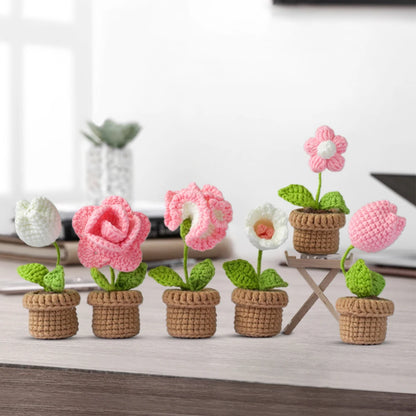 Cute Flower Crochet Starter Kit with Video Tutorials Handmade Flower Knitted Kit Sewing Flower Kit DIY Knitting Supplies