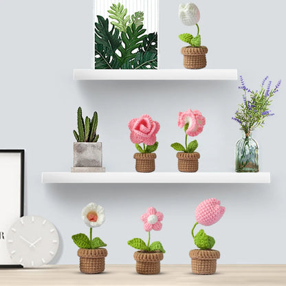 Potted Plant Crochet Kit DIY Crochet Starter Kit with Step-by-Step Video Tutorials Knitting Crocheting Kit for Adults