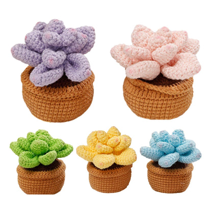 4Pcs Potted Plants Crochet Starter Kit DIY Knitting Crocheting Kit with Step-by-Step Video Tutorials for Beginners Adults